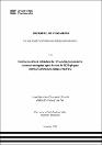 IV_FIN_111_TE_Ccancce_Paricahua_2025.pdf.jpg