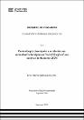 IV_FIN_105_TE_Ladera_Julcarima_2025.pdf.jpg