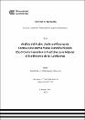 IV_FIN_108_TE_Villavicencio_Villanueva_2025.pdf.jpg