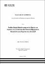 IV_FIN_109_TE_Lulo_RIvera_2025.pdf.jpg