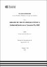 IV_FIN_108_TE_Vilca_Huanacuni_2025.pdf.jpg
