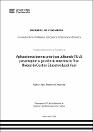 IV_FIN_103_TE_Evazeto_Cristobal_2025.pdf.jpg