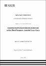 IV_FDE_312_TE_Vizcarra_Pinto_2025.pdf.jpg