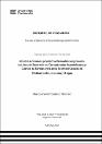 IV_FIN_108_TSP_Vilca_Llungo_2024.pdf.jpg