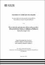 IV_FCS_507_TE_Sora_Vilchez_Villaverde_2025.pdf.jpg