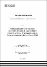 IV_FIN_107_TE_Chaupi_Gibaja_2025.pdf.jpg