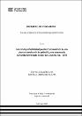 IV_FIN_108_TE_Ascue_Dianderas_2025.pdf.jpg