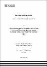 IV_FIN_105_TE_Conde_Ñañez_2025.pdf.jpg