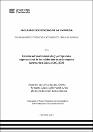 IV_FCE_317_TE_Aguero_Almonacid_Lizana_2024.pdf.jpg