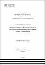 IV_FIN_106_TSP_Soria_Quispe_2025.pdf.jpg