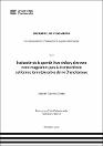 IV_FIN_107_TE_Cacsire_Goitia_2024.pdf.jpg