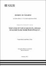 IV_FIN_110_TSP_Piñas_Ortiz_2025.pdf.jpg