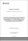 IV_FIN_108_TE_Huayllani_Tiza_2025.pdf.jpg