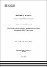IV_FDE_312_TSP_Vizcarra_Pinto_2025.pdf.jpg
