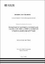 IV_FIN_108_TSP_Llana_Raraz_2025.pdf.jpg