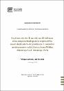 INV_FIN_108_TE_Vasquez_Arauco_2017.pdf.jpg