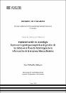 IV_FIN_103_TSP_Callapiña_Gallegos_2025.pdf.jpg