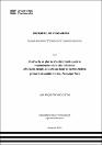 IV_FIN_111_TE_Romero_Carlos_2025.pdf.jpg