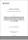 IV_FIN_109_TE_Carbajal_Veli_2024.pdf.jpg