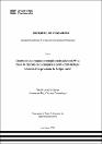 IV_FIN_111_TE_Huincho_Torres_2025.pdf.jpg
