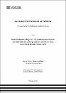 IV_FCE_308_TE_Huamani _Quispe_2025.pdf.jpg