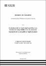 IV_FIN_108_TE_Miranda_Puma_2025.pdf.jpg