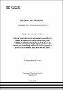 IV_FIN_105_TE_Allende_Florez_2025.pdf.jpg