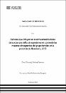 IV_FDE_312_TE_Vilchez_Damian_2024.pdf.jpg