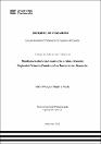 IV_FIN_107_TSP_Najarro_Prado_2025.pdf.jpg
