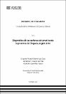 IV_FIN_110_TE_Barrientos_Chavez_Villar_2021.pdf.jpg