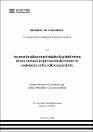 IV_FIN_110_TE_Gallardo_Quintana_2025.pdf.jpg