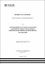 IV_FIN_105_TE_Guerra_Puris_2025.pdf.jpg