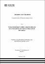 IV_FIN_106_TE_Santa_Maria_Carazas_2025.pdf.jpg