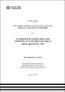 IV_PG_MCMGADS_TE_Rondon_Limas_2025.pdf.jpg