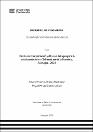 IV_FIN_106_TE_Alvarez_Castro_2025.pdf.jpg