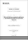 IV_FIN_106_TE_Sinchez_Marquina_2024.pdf.jpg