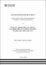 IV_FCS_507_TE_Anchiraico_Gaspar_2025.pdf.jpg