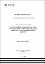 IV_FIN_105_TSP_Ibañez_Zamudio_2025.jpg