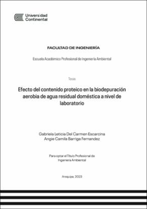 IV_FIN_107_TE_Del Carmen_Barriga_2023.pdf.jpg