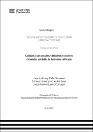 IV_PG_2002_TA_Celis_Flores_Larico_2025.pdf.jpg