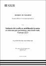 IV_FIN_105_TE_Escudero_Maldonado _2023.pdf.jpg