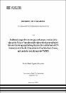 IV_FIN_105_TE_Aguirre_Aquima_2025.pdf.jpg