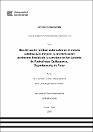 IV_FIN_105_TE_Huaman _Ticona_2025.pdf.jpg